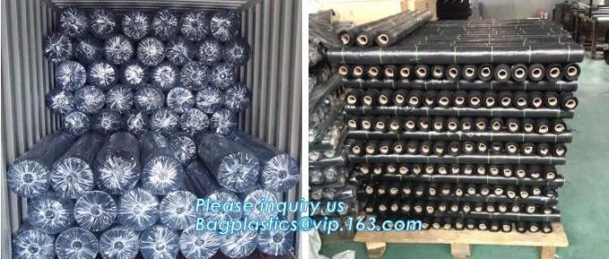 DRIP IRRIGATION PIPE,PE DRIP TAPE PIPE,PPR PIPE,PVC PIPE,PMMA SHEET,PIPE FITTINGS,PERT PIPE,PC SHEET,PE PIPE,PEX PIPE PB