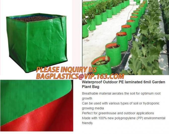 DRIP IRRIGATION PIPE,PE DRIP TAPE PIPE,PPR PIPE,PVC PIPE,PMMA SHEET,PIPE FITTINGS,PERT PIPE,PC SHEET,PE PIPE,PEX PIPE PB
