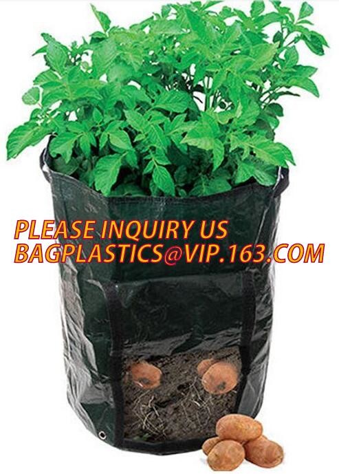 DRIP IRRIGATION PIPE,PE DRIP TAPE PIPE,PPR PIPE,PVC PIPE,PMMA SHEET,PIPE FITTINGS,PERT PIPE,PC SHEET,PE PIPE,PEX PIPE PB