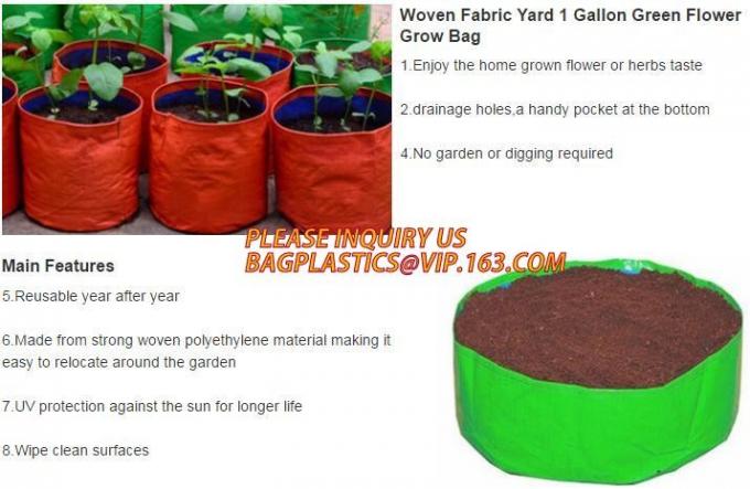 DRIP IRRIGATION PIPE,PE DRIP TAPE PIPE,PPR PIPE,PVC PIPE,PMMA SHEET,PIPE FITTINGS,PERT PIPE,PC SHEET,PE PIPE,PEX PIPE PB