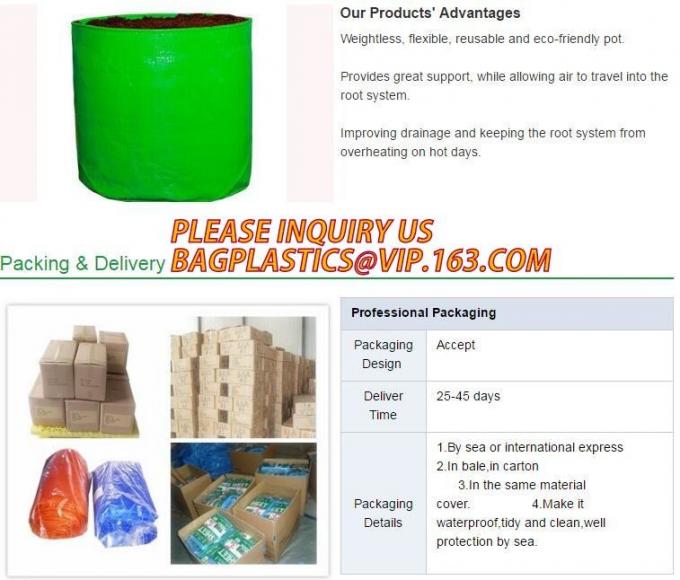 DRIP IRRIGATION PIPE,PE DRIP TAPE PIPE,PPR PIPE,PVC PIPE,PMMA SHEET,PIPE FITTINGS,PERT PIPE,PC SHEET,PE PIPE,PEX PIPE PB