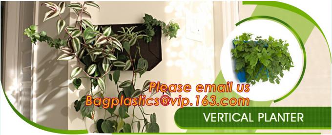DRIP IRRIGATION PIPE,PE DRIP TAPE PIPE,PPR PIPE,PVC PIPE,PMMA SHEET,PIPE FITTINGS,PERT PIPE,PC SHEET,PE PIPE,PEX PIPE PB