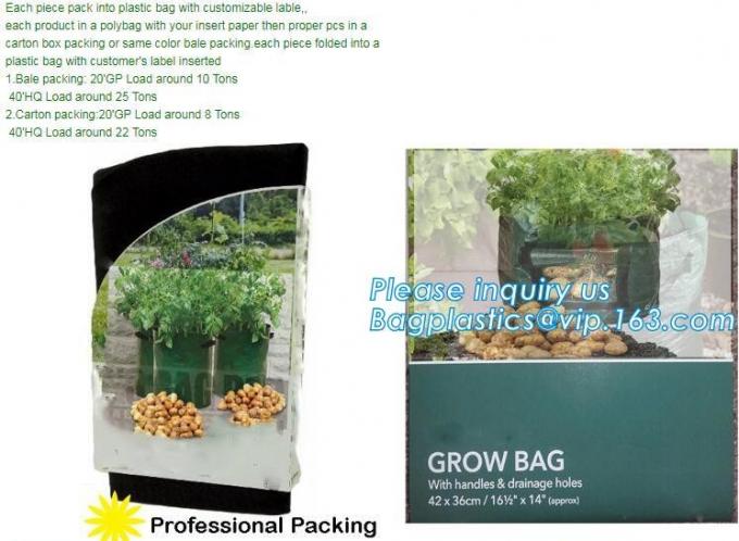 DRIP IRRIGATION PIPE,PE DRIP TAPE PIPE,PPR PIPE,PVC PIPE,PMMA SHEET,PIPE FITTINGS,PERT PIPE,PC SHEET,PE PIPE,PEX PIPE PB