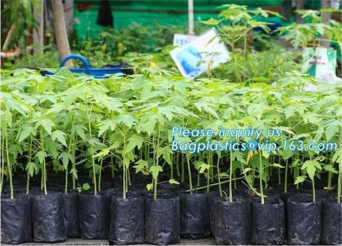 DRIP IRRIGATION PIPE,PE DRIP TAPE PIPE,PPR PIPE,PVC PIPE,PMMA SHEET,PIPE FITTINGS,PERT PIPE,PC SHEET,PE PIPE,PEX PIPE PB
