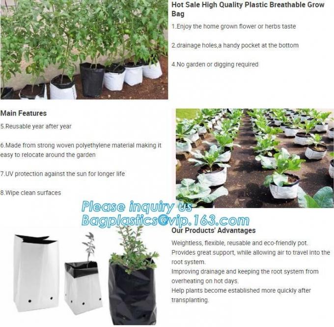 DRIP IRRIGATION PIPE,PE DRIP TAPE PIPE,PPR PIPE,PVC PIPE,PMMA SHEET,PIPE FITTINGS,PERT PIPE,PC SHEET,PE PIPE,PEX PIPE PB