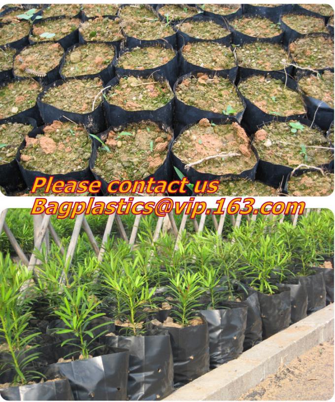 DRIP IRRIGATION PIPE,PE DRIP TAPE PIPE,PPR PIPE,PVC PIPE,PMMA SHEET,PIPE FITTINGS,PERT PIPE,PC SHEET,PE PIPE,PEX PIPE PB