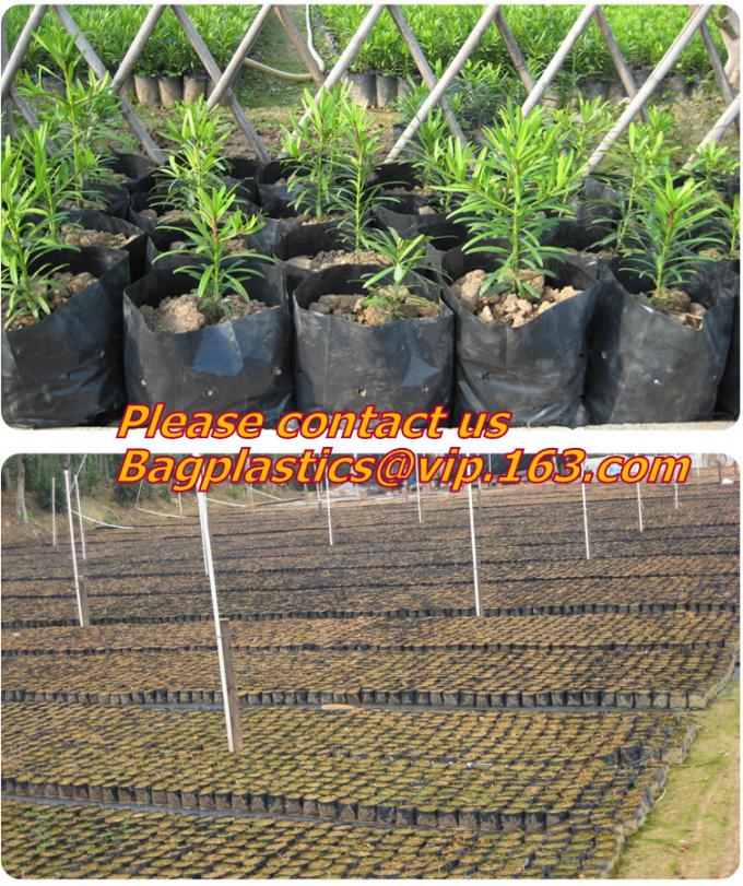 DRIP IRRIGATION PIPE,PE DRIP TAPE PIPE,PPR PIPE,PVC PIPE,PMMA SHEET,PIPE FITTINGS,PERT PIPE,PC SHEET,PE PIPE,PEX PIPE PB
