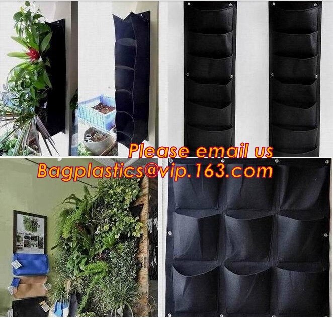 DRIP IRRIGATION PIPE,PE DRIP TAPE PIPE,PPR PIPE,PVC PIPE,PMMA SHEET,PIPE FITTINGS,PERT PIPE,PC SHEET,PE PIPE,PEX PIPE PB