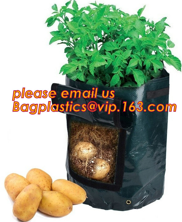 DRIP IRRIGATION PIPE,PE DRIP TAPE PIPE,PPR PIPE,PVC PIPE,PMMA SHEET,PIPE FITTINGS,PERT PIPE,PC SHEET,PE PIPE,PEX PIPE PB