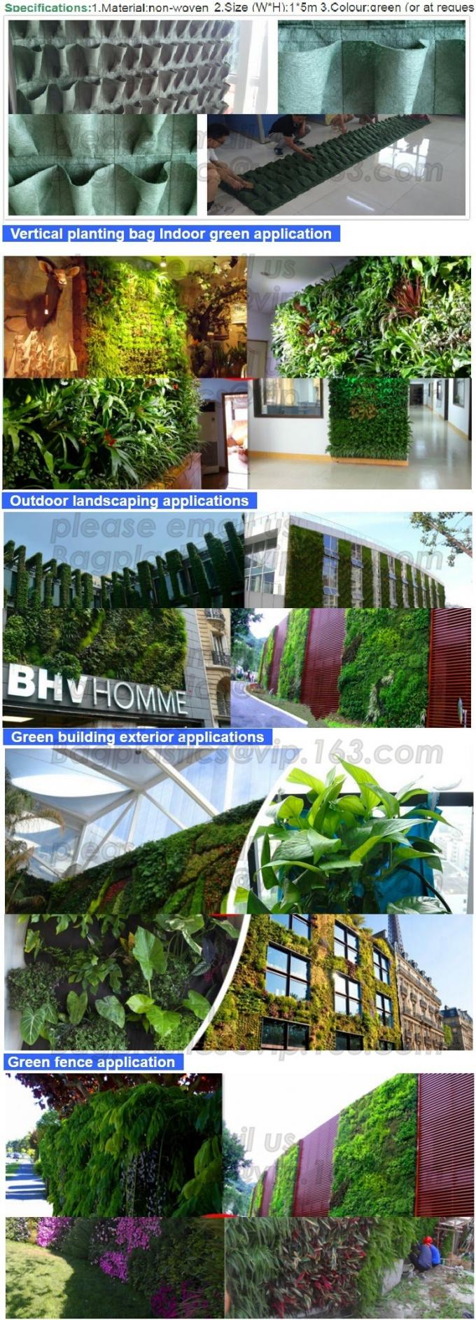 DRIP IRRIGATION PIPE,PE DRIP TAPE PIPE,PPR PIPE,PVC PIPE,PMMA SHEET,PIPE FITTINGS,PERT PIPE,PC SHEET,PE PIPE,PEX PIPE PB