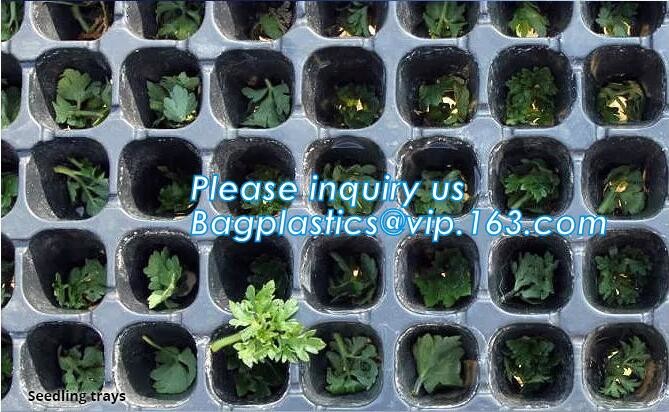 DRIP IRRIGATION PIPE,PE DRIP TAPE PIPE,PPR PIPE,PVC PIPE,PMMA SHEET,PIPE FITTINGS,PERT PIPE,PC SHEET,PE PIPE,PEX PIPE PB