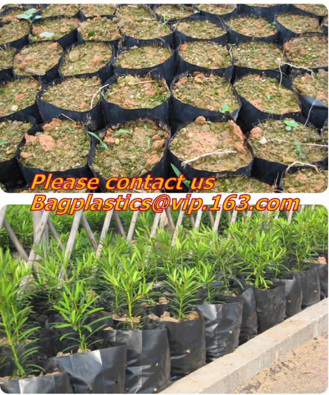 garden bags, grow bags, hanging plant bags, planters, LDPE plant, grow, nursery bags