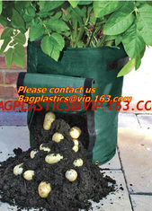 China Horticulture, NURSERY, PLANTER, SEED, PLASTIC GROW BAGS, HYDROPONICS, FLOWERPOTS, BLACK supplier