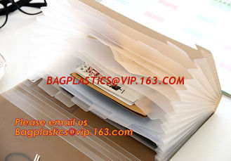 China pp file folder, plastic pp rainbow expanding file organizer folder, desk expander file folder supplier