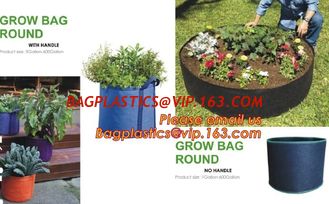 China Garden Vertical Planter Multi Pocket Wall Mount Living Growing Bag Felt Indoor/Outdoor Pot supplier