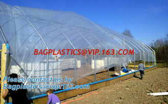 China Agricultural PE Film, Agriculture Polyethylene, Film, mulch films, horticultural polyethylene film supplier
