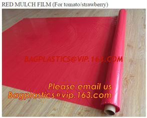 China Agricultural Mulching Film Used for Fruit, Flower and Vegetable supplier