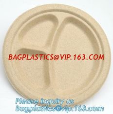 China biodegradable food tray for fruit or snack biodegradable corn starch disposable plastic food tray PLA Foamed Biodegradab supplier