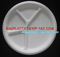 China Disposable Plastic Takeaway Meal Tray, Corn starch blister packaging tray, blister packaging supplier