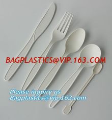 China biodegradable meat tray, disposable plate deli tray, biodegradable breakfast tray, Biodegradable Disposable Food Tray supplier
