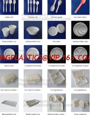 China spoon, folk, knife, tray, disposable plate, deli tray, biodegradable breakfast tray, Biodegradable Disposable Food Tray supplier