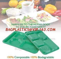 China fast food boxes custom logo printing, Compostable plastic food container, eco-product renewable 100% compostable PLA foo supplier