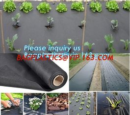 China best quality agricultural weed barrie,UV stable Polypropylene woven fabric weed barrier,maintenance free anti weed mat, supplier