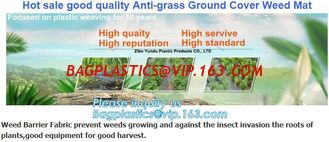 China prevent insects,tree planting,agriculture protection Plastic weed barrier,weed matt Bio-degradable Agricultural PP Weed supplier