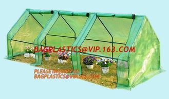 China Polycarbonate strong garden greenhouse double-door green house,NEW WALK IN GREENHOUSE GARDENING SEEDS PROPOGATING 143cm* supplier