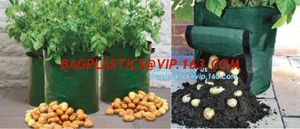 China garden plant/ patato/vegetable grow bags,2gallon hotsales fabric pots grow bags for plant flower grow bag plant potato o supplier