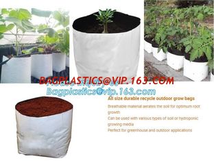 China Polyethylene Durable Jumbo Tree Planter Bags, Heavy Duty Growing Bags,Effective UV Stabilized Black White Plastic Growin supplier