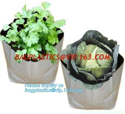 China 15 GALLON Hole Plastic LDPE Grow Bags For Nursery, Black &amp; White PE Grow Bags for Hydroponic and Horticulture use, BAGEA supplier