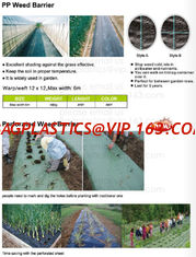 China Grape house net,garden ground mat,pvc film,non-woven sheet,plant jacket,nurseru house,weed control,weed barrier,mulch fi supplier