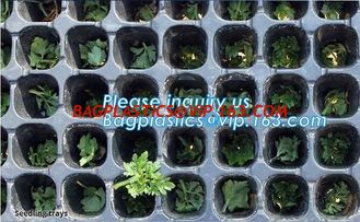 China plastic nursery tray seedling tray have different numbers cups,Plastic Flowers Seedling Hydroponics Nursery Trays, BIO supplier