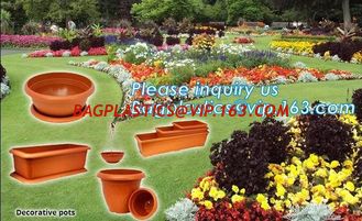 China mini plastic nursery pots flower pots for herb seedling,cheap price black plastic nursery pots flexible soft pot, seedli supplier
