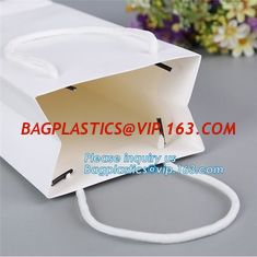 China Paper Carrier Bag with ribbon handle,Fantastic carrier bag for taking noodles with handles,Paper Shopping Bags, gift pac supplier