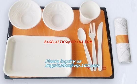 China SUGARCANE BAGASSE PLA DINNERWARE BIO ECO TABLEWARE, CUP PLATE BOWL CONTAINER,PLA DISH TRAY, CULTERY BAGPLASTICS BAGEASE supplier