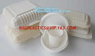 China 100% Biodegradable sugarcane pulp Lunch disposable Box bagasse food container disposable clamshell lunch box bagease pac supplier