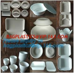 China Eco Biodegradable Disposable Sugarcane Bagasse Food Container,Customize biodegradable corn starch plastic food storage c supplier