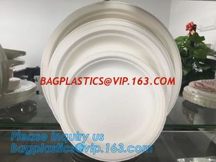 China Compostable biodegradable dinner plate corn starch plate,Elegant Disposable Corn Starch Bio Plastic Dinner Plates bagpla supplier