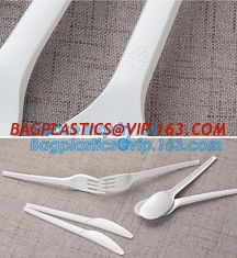 China Food Grade Hottest Chinese Supplier Stocked Biodegradable Corn Starch Soup Spoon,biodegradable baby products cutlery wal supplier