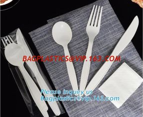 China Biodegradable disposable cutlery eco friendly plastic CPLA cutlery,Disposable Biodegradable Corn Starch Cutlery/Spoon supplier