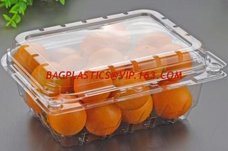 China Hot Selling Plastic PET Sandwich Containers Cake Bread Container Plastic Takeaway Food Box with conjoined cover bagease supplier