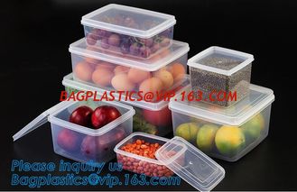 China Factory direct sale pp plastic food storage canister set food preservative box,Plastic home usage fresh food storage box supplier