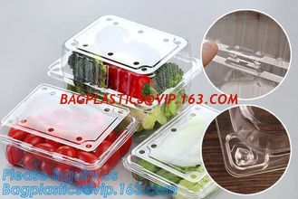 China Blister Packaging Food Container,Disposable Blister Fruit Salad Container,Plastic blister fruit box / container / fruit supplier