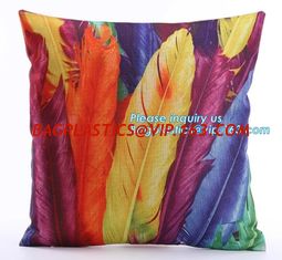 China Promotional Solid Color Velvet Cushion Cover Super Soft Decorative Velvet Cushion Cover,Europe Luxurious design home dec supplier