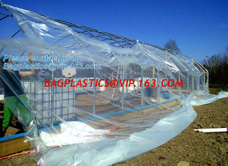 China plastic film agriculture greenhouse,6 mil poly anti-uv plastic greenhouse film,Anti-fog UV resistant,mushroom,TOMATO PAC supplier