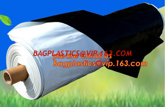 China panda strawberry mulch film/black white strawberry film ground cover,UV Resistant Black White PE/Polyethylene/Poly Refle supplier