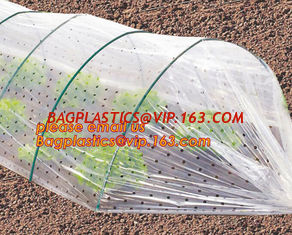 China high light transmittance solar control seeding nursery greenhouse covers,100% virgin LDPE protective single layer cucumb supplier