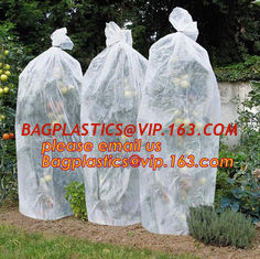 China PP Non Woven Fabric Fruit Tomato Banana Bunch Cover Garden Plant Protection Cover For Winter,Eco-friendly Household Non supplier